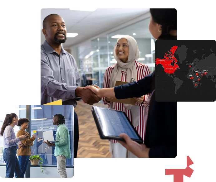 reliance infosystems about